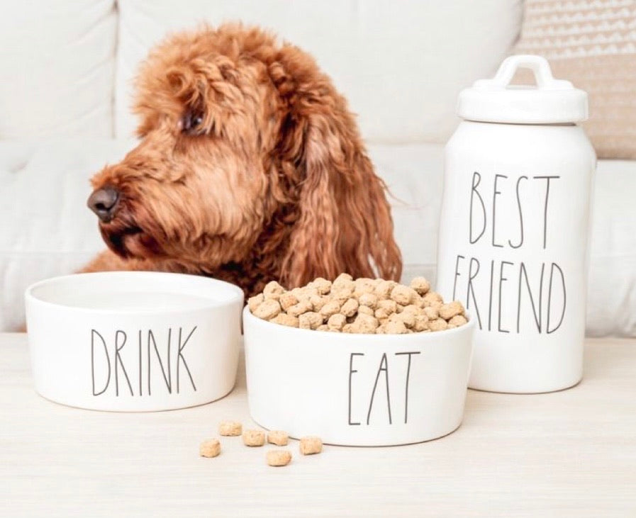 Ceramic Dog Bowl Rae Dunn Dog Nwt Rae Dunn X Peanuts Spooked