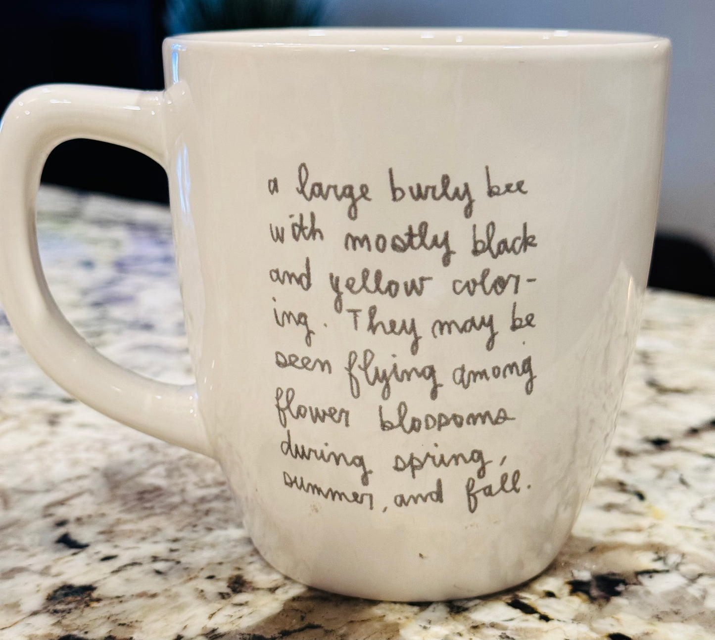 Rae Dunn ceramic bumble bee 🐝 line coffee mug