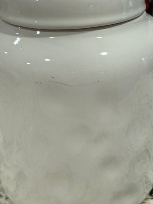 Rae Dunn white ceramic 8” REWARD storage canister