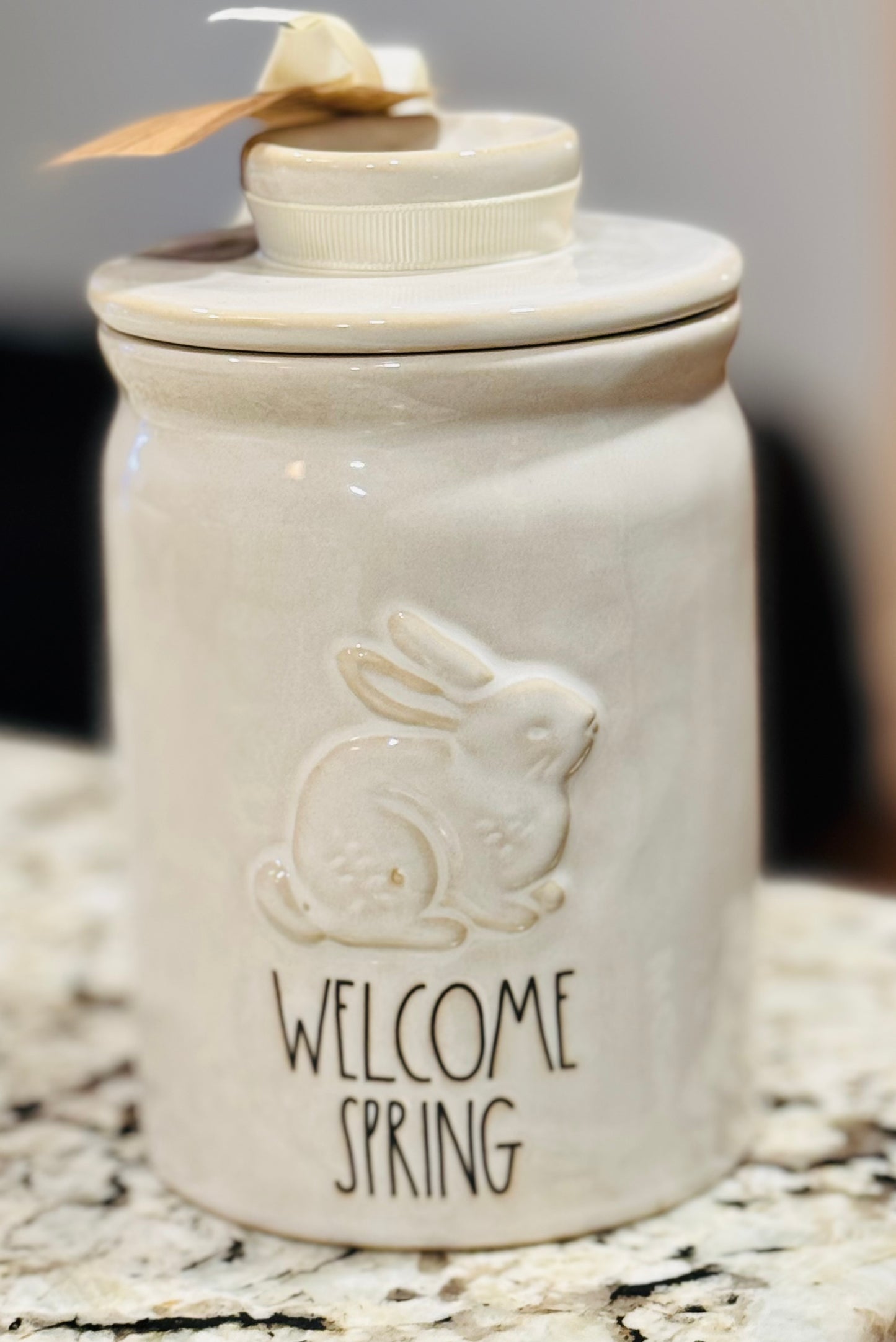 New Rae Dunn ceramic WELCOME SPRING bunny Canister Easter decor