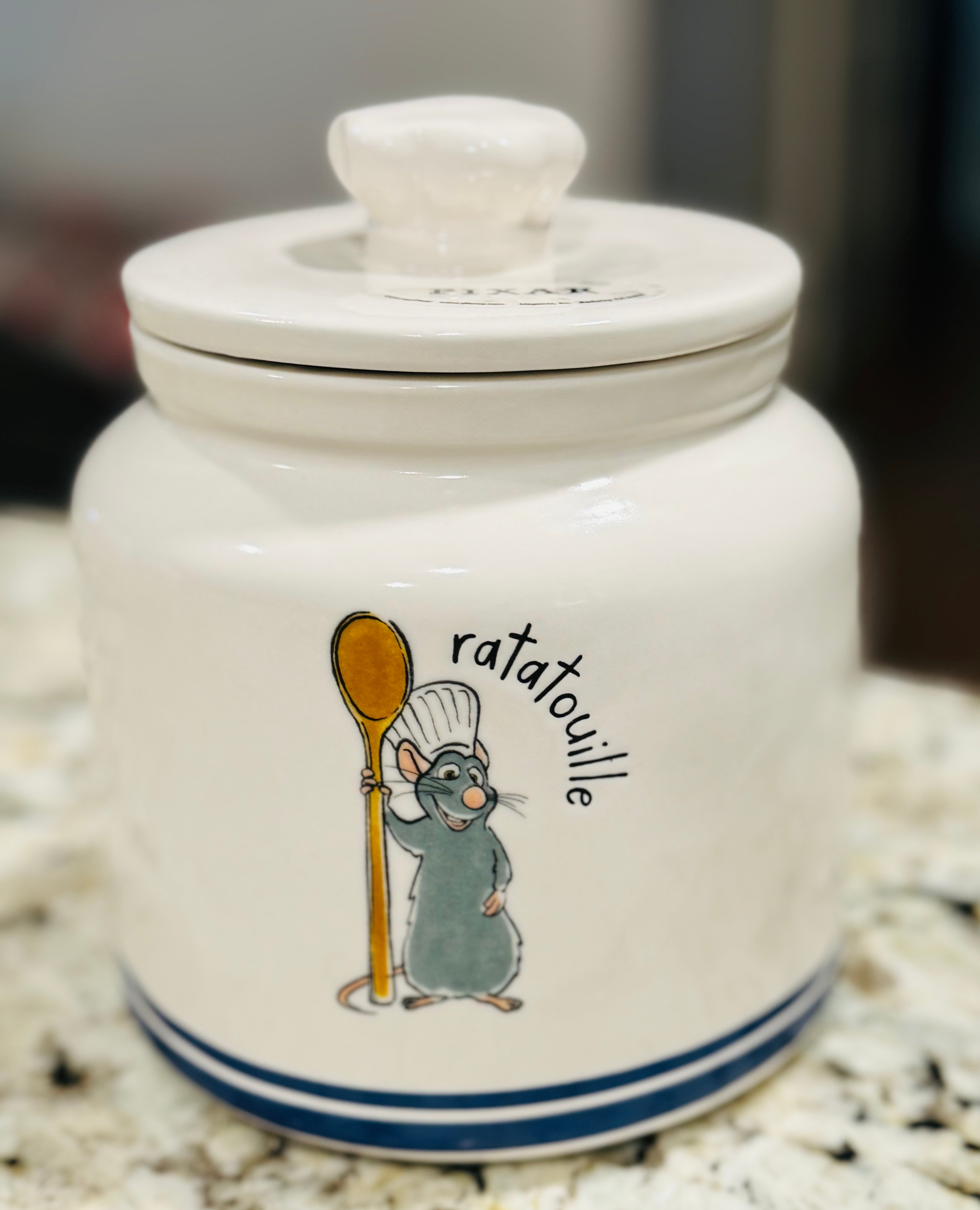 Rae shops Dunn ratatouille bundle