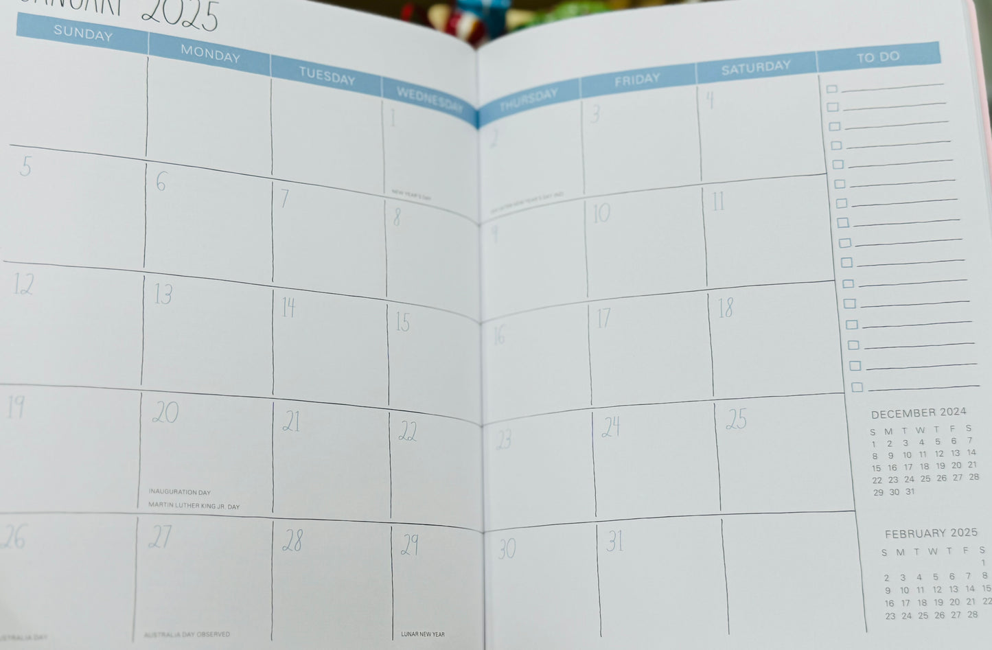 New soft cover 2025 full year planner -pink floral Jan 25-Dec 25