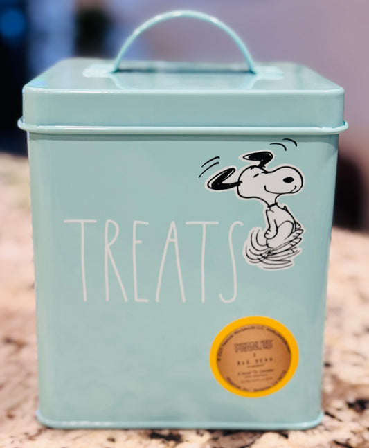 New teal tin Rae Dunn x Peanuts Snoopy TREATS holders