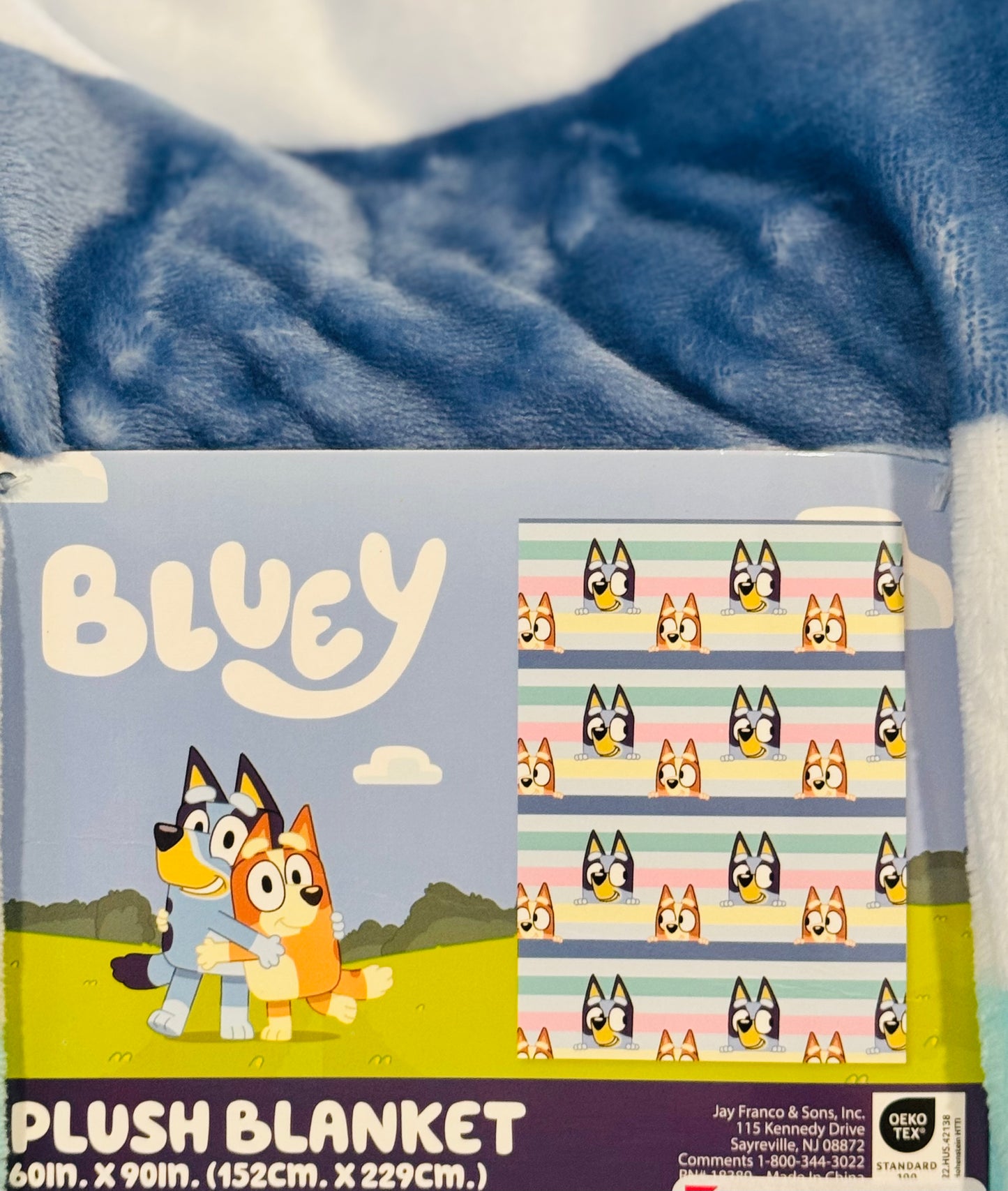 New Bluey & Bingo peeking face throw blanket 60x90 TWIN size silk soft touch plush