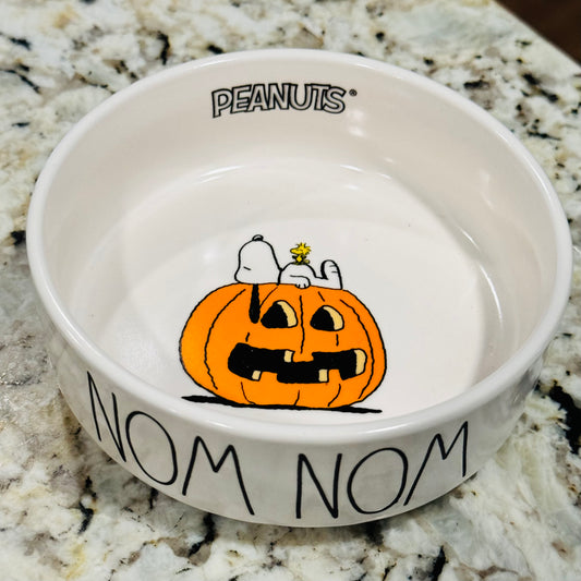 New Rae Dunn x Peanuts Charlie Brown Snoopy bowl NOM NOM