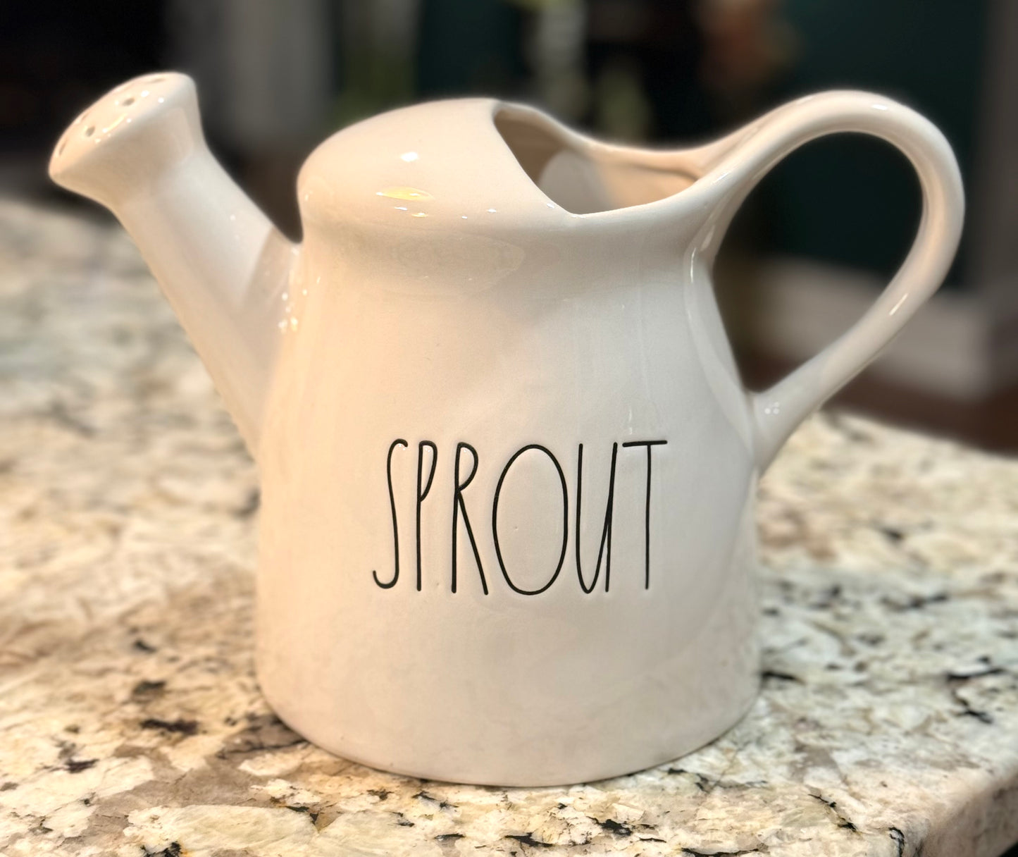 New Rae Dunn ceramic watering can garden decor SPROUT
