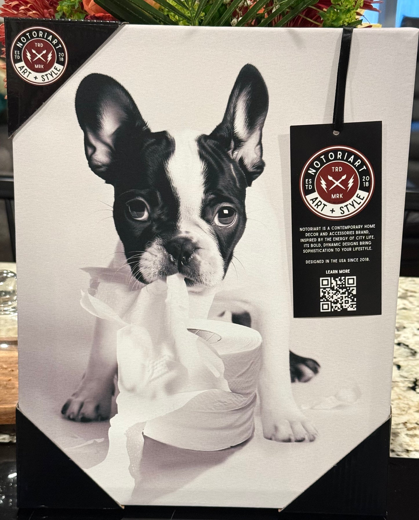 New French Bulldog with toilet paper hanging wall decor canvas photo 11x14