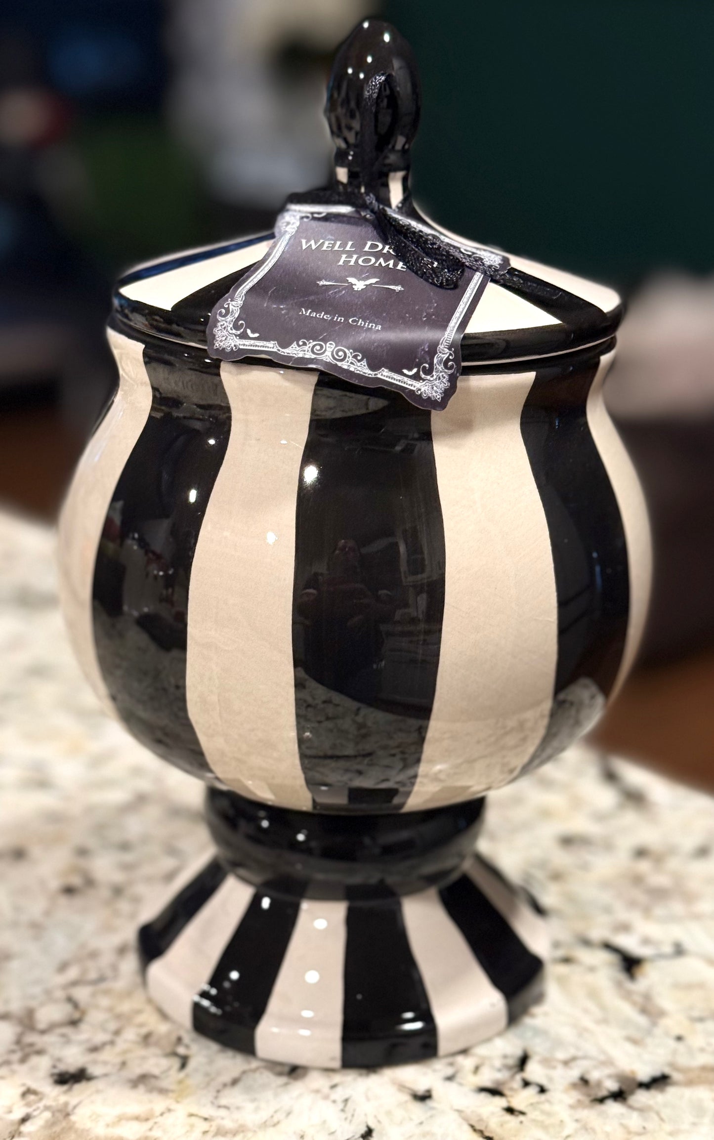 New Well Dressed Home Black and white striped ceramic taureen
