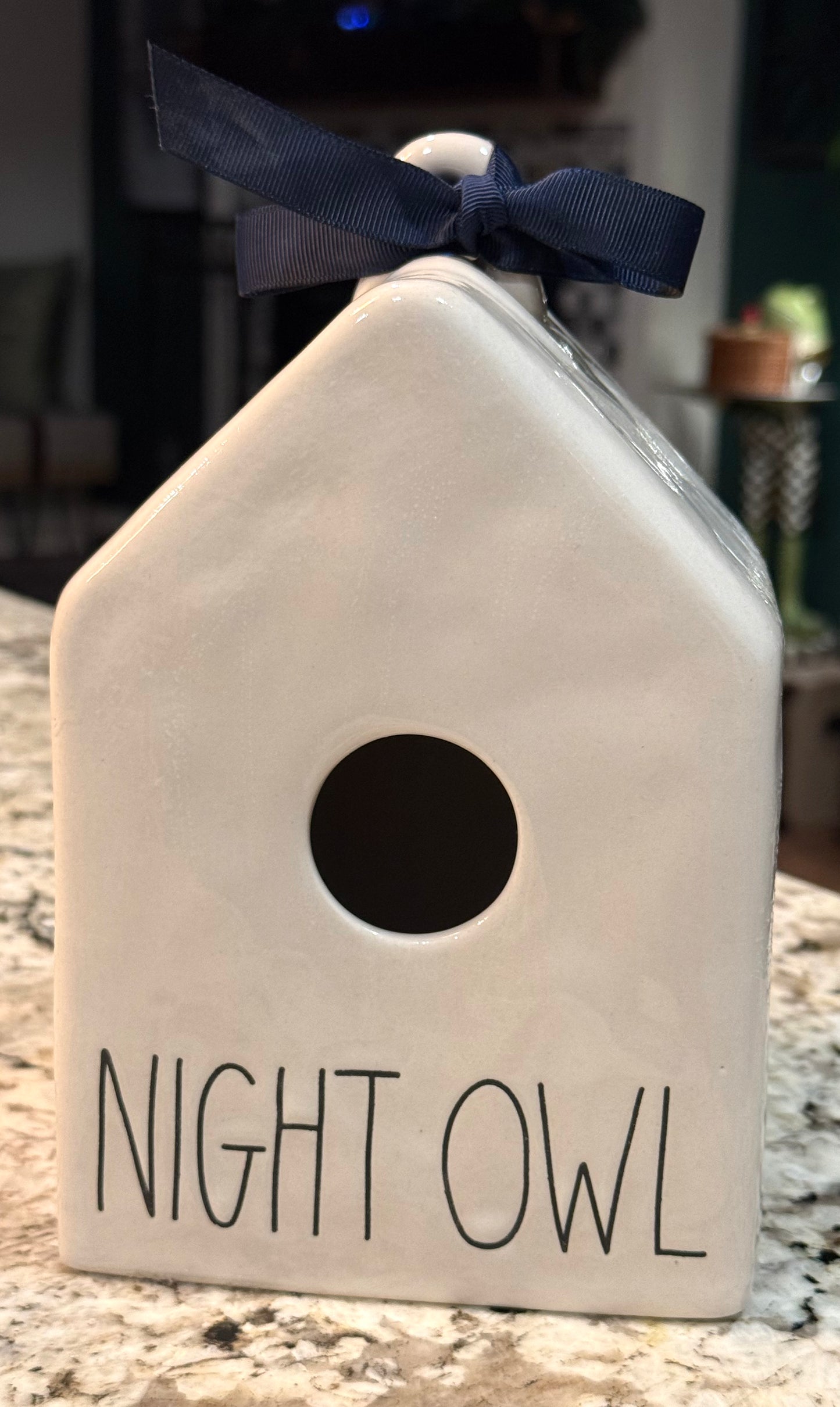 Rae Dunn white ceramic NIGHT OWL Birdhouse decor
