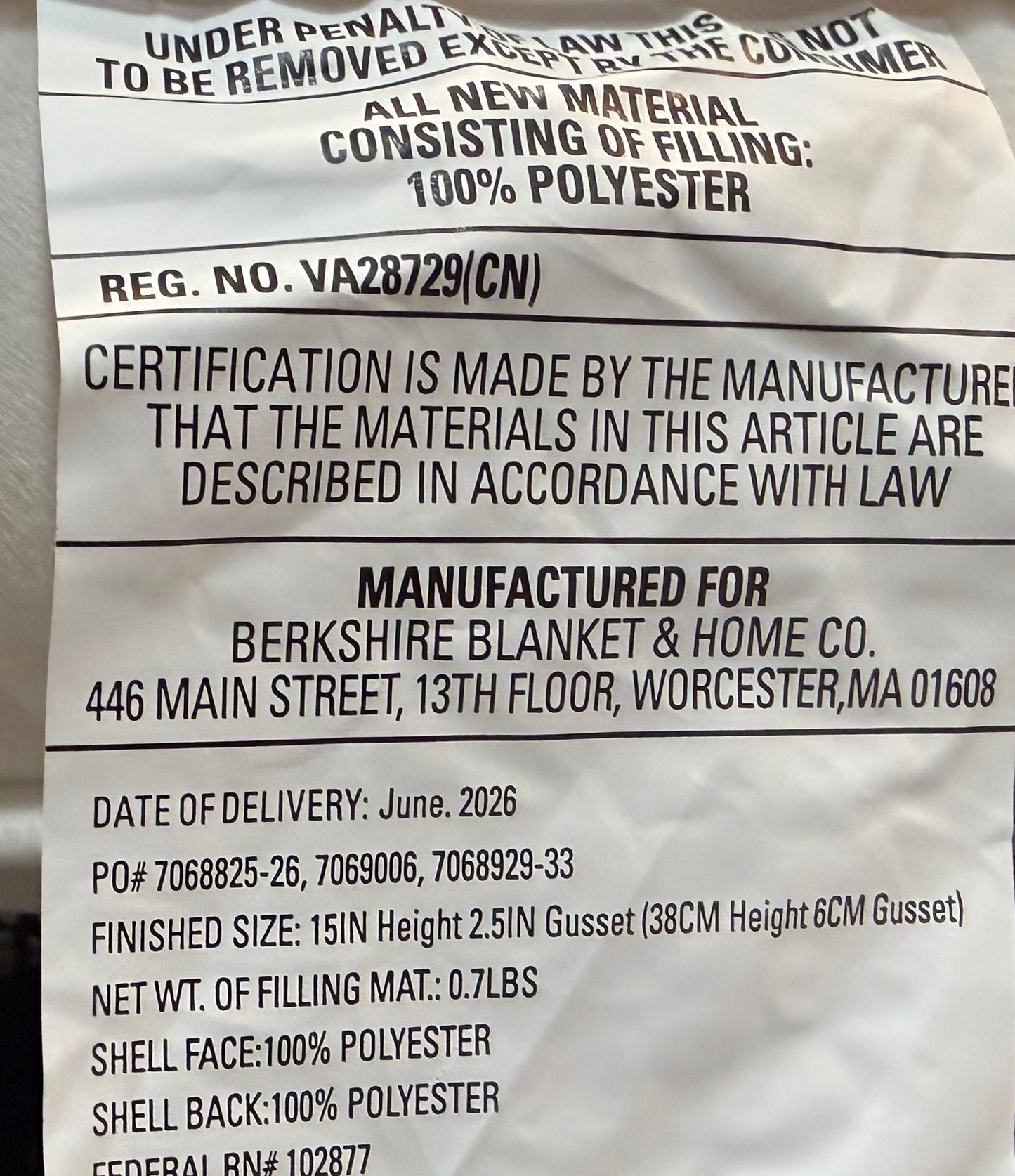 New Peanuts Halloween snoopy and Woodstock throw pillow