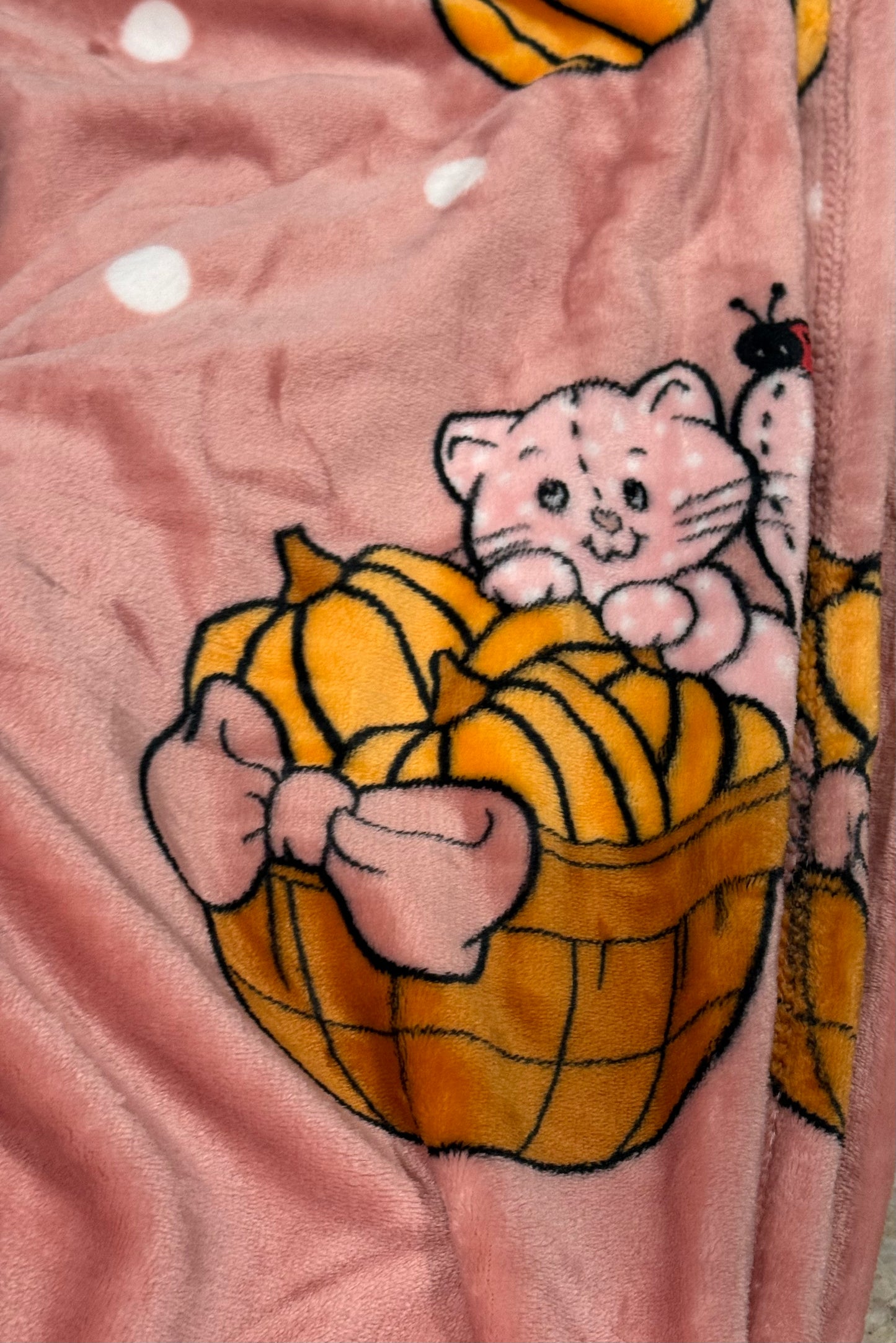 New Strawberry Shortcake pink fall 50x70 football throw blanket