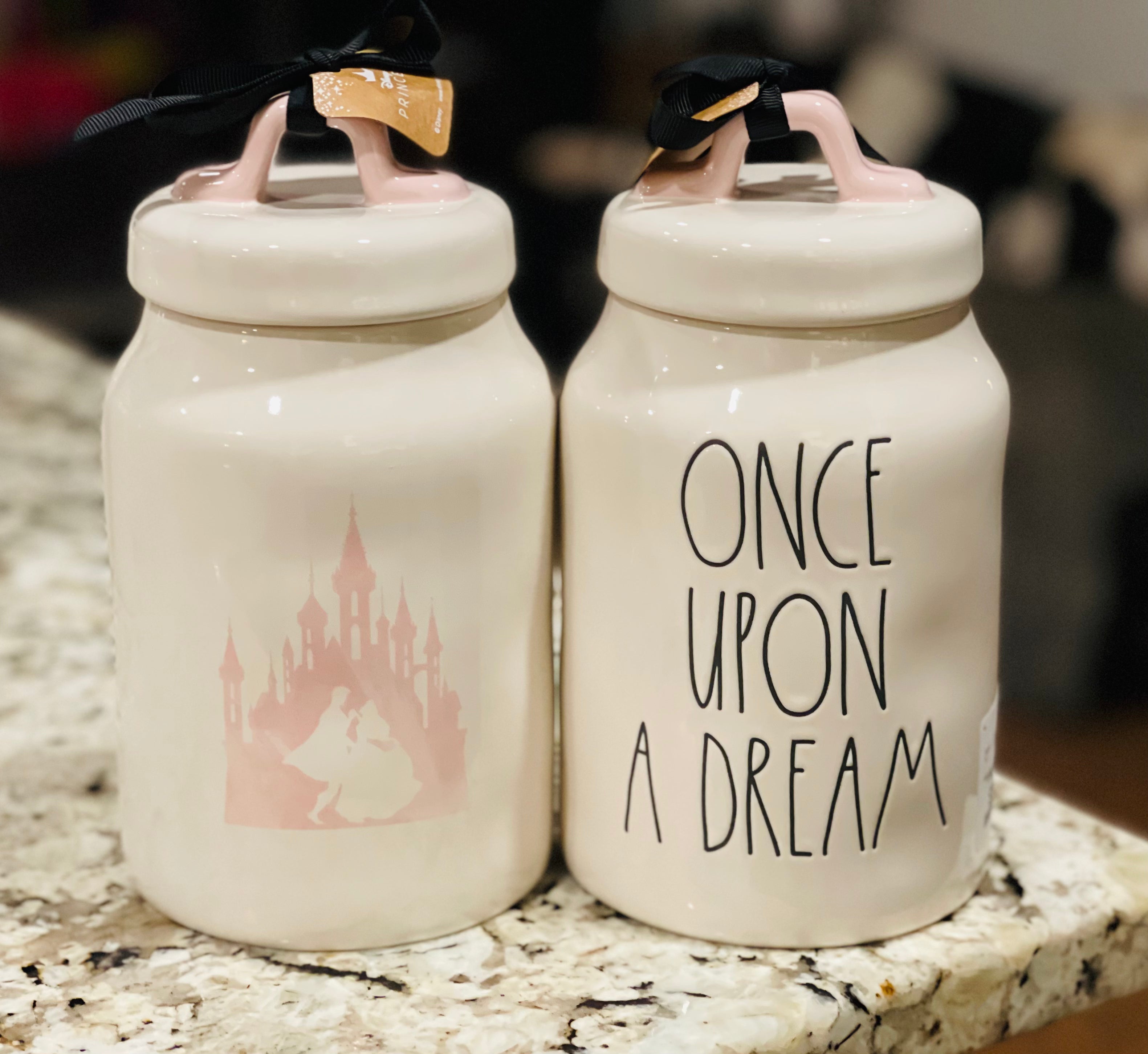 Shops Rae Dunn Disney Coco Canister Set