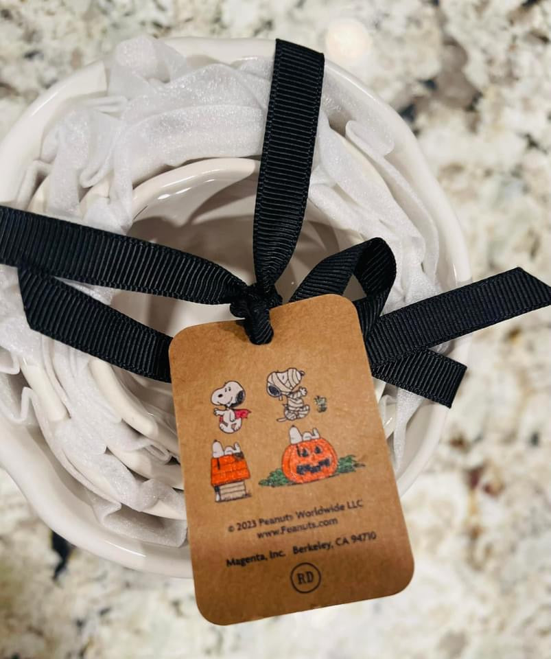 New Rae Dunn x Peanuts Snoopy measuring cup set