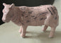New peach ceramic butcher parts cut cow 6x4”