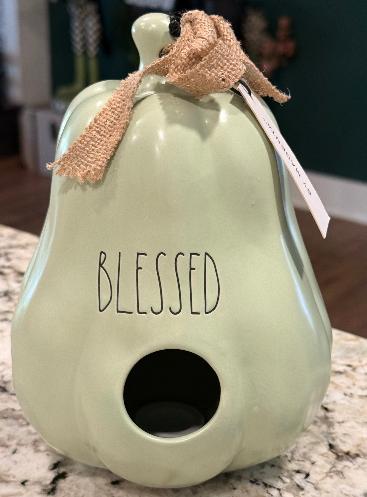 New Rae Dunn green gourd ceramic birdhouse 8.5” fall decor BLESSED