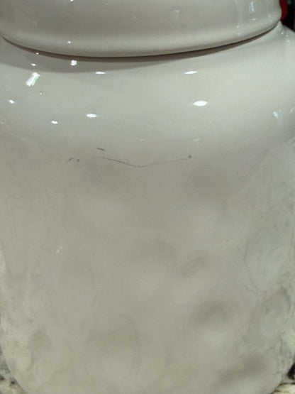 Rae Dunn white ceramic 8” REWARD storage canister