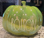 New Rae Dunn green iridescent ceramic Halloween decor 8” pumpkin POISON