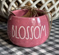 New Rae Dunn pink ceramic planter 4” BLOSSOM