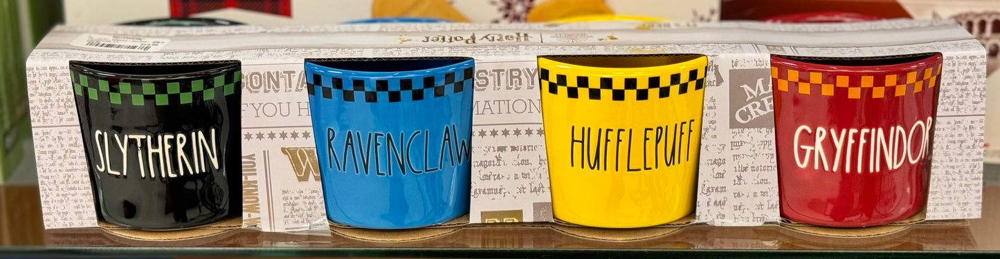 New Rae Dunn x Harry Potter ceramic 4-piece House names ramekin set