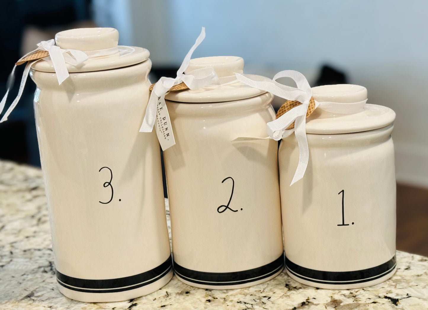 New Release! Rae Dunn 1-3 ceramic number canister set