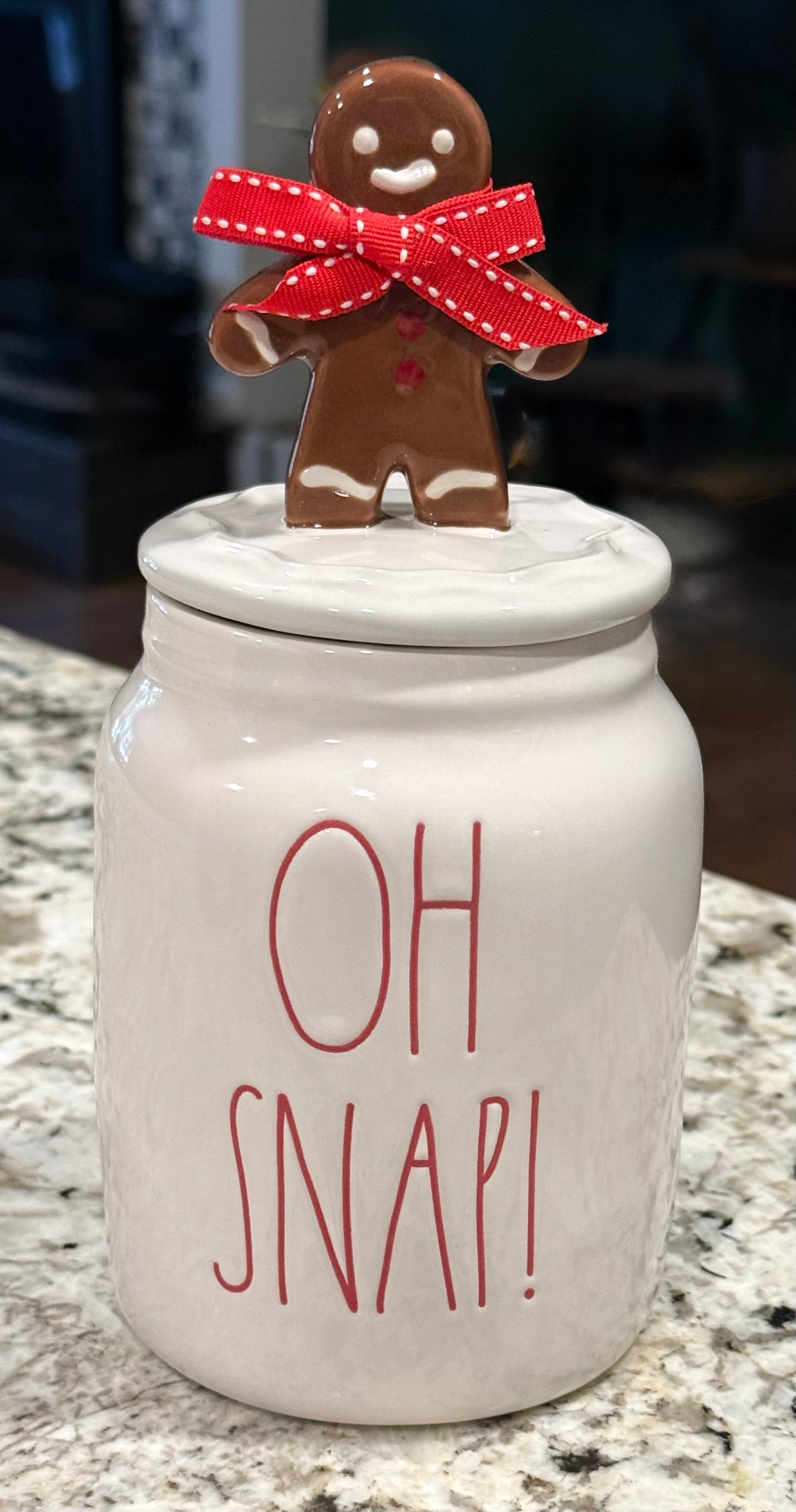 New Rae Dunn white ceramic Christmas gingbread decor canister OH SNAP