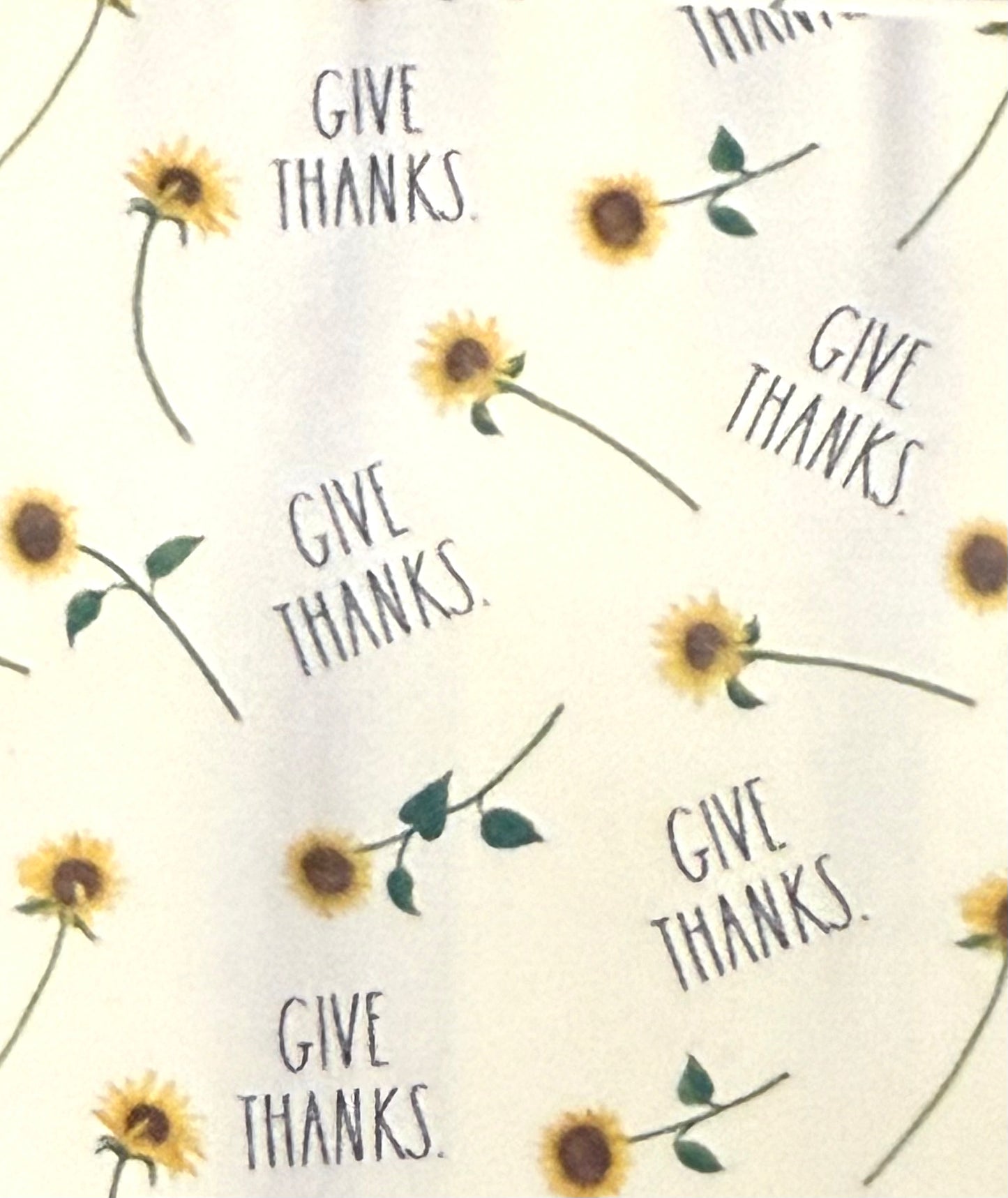 New Rae Dunn shower curtain liner GIVE THANKS