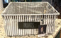 Rae Dunn large white metal basket with gray striped snap in liner FRUITS 14x14x6.5