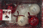 New Rae Dunn 6-piece glass Christmas ornament box set