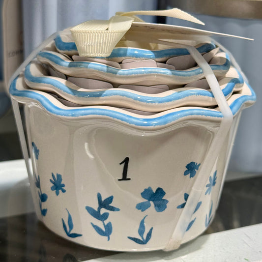 New Release Rae Dunn blue and white floral measuring cup set