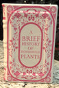 New ceramic book vase pink & white A Brief History of Household Plants