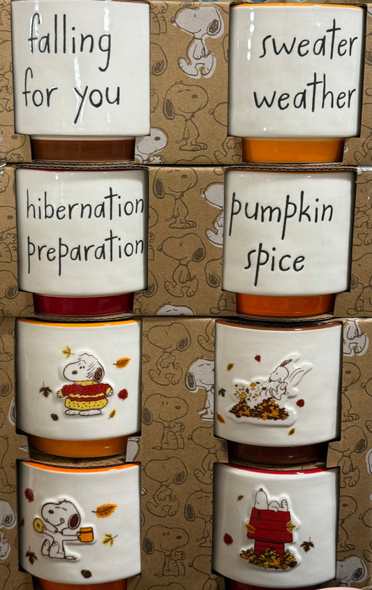 New Rae Dunn x Peanuts Snoopy fall 4-piece ramekin set FALL THEME (front/back photo)