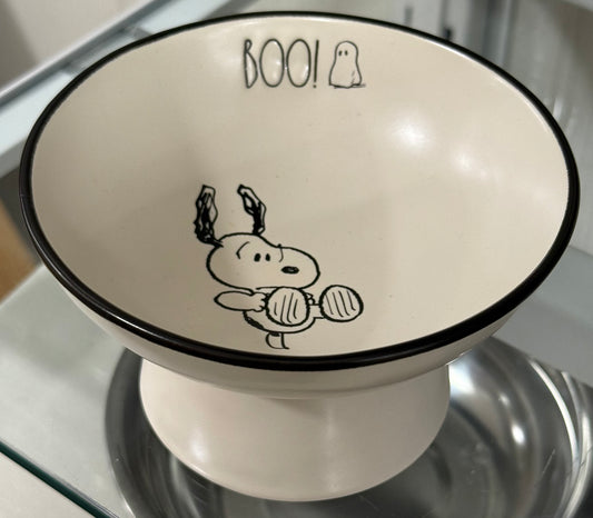 New Rae Dunn x Peanuts Snoopy ceramic small raised candy dish BOO!