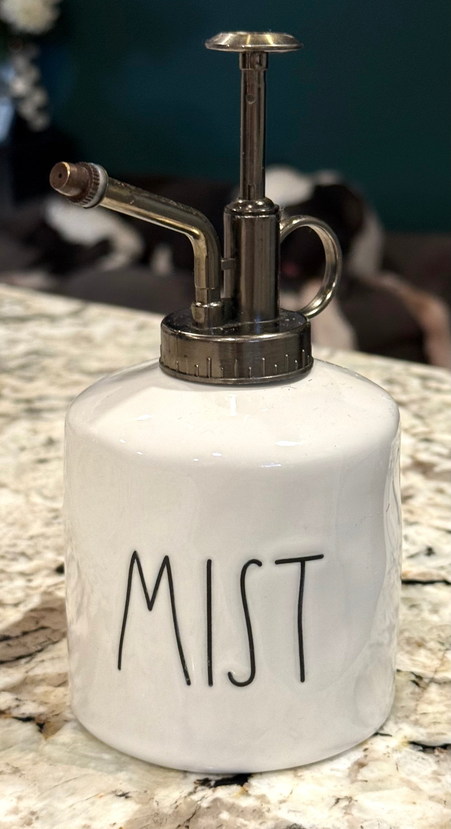 New Rae Dunn ceramic plant sprayer MIST