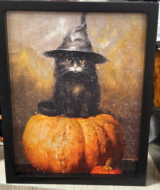 New 8x10 Black framed Halloween witch cat on pumpkin