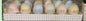New Rae Dunn wood pastel Easter egg 12-piece decor boxed set, mixed sayings