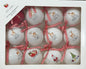 New Rae Dunn Christmas Santa’s reindeer glass ornament box set