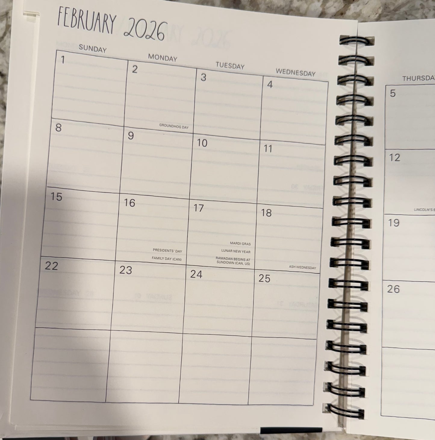 New Rae Dunn 2026 planner 8x10 hardback