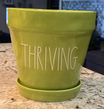 Rae Dunn large ceramic green garden planter decor THRIVING 8x8