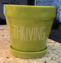 Rae Dunn large ceramic green garden planter decor THRIVING 8x8