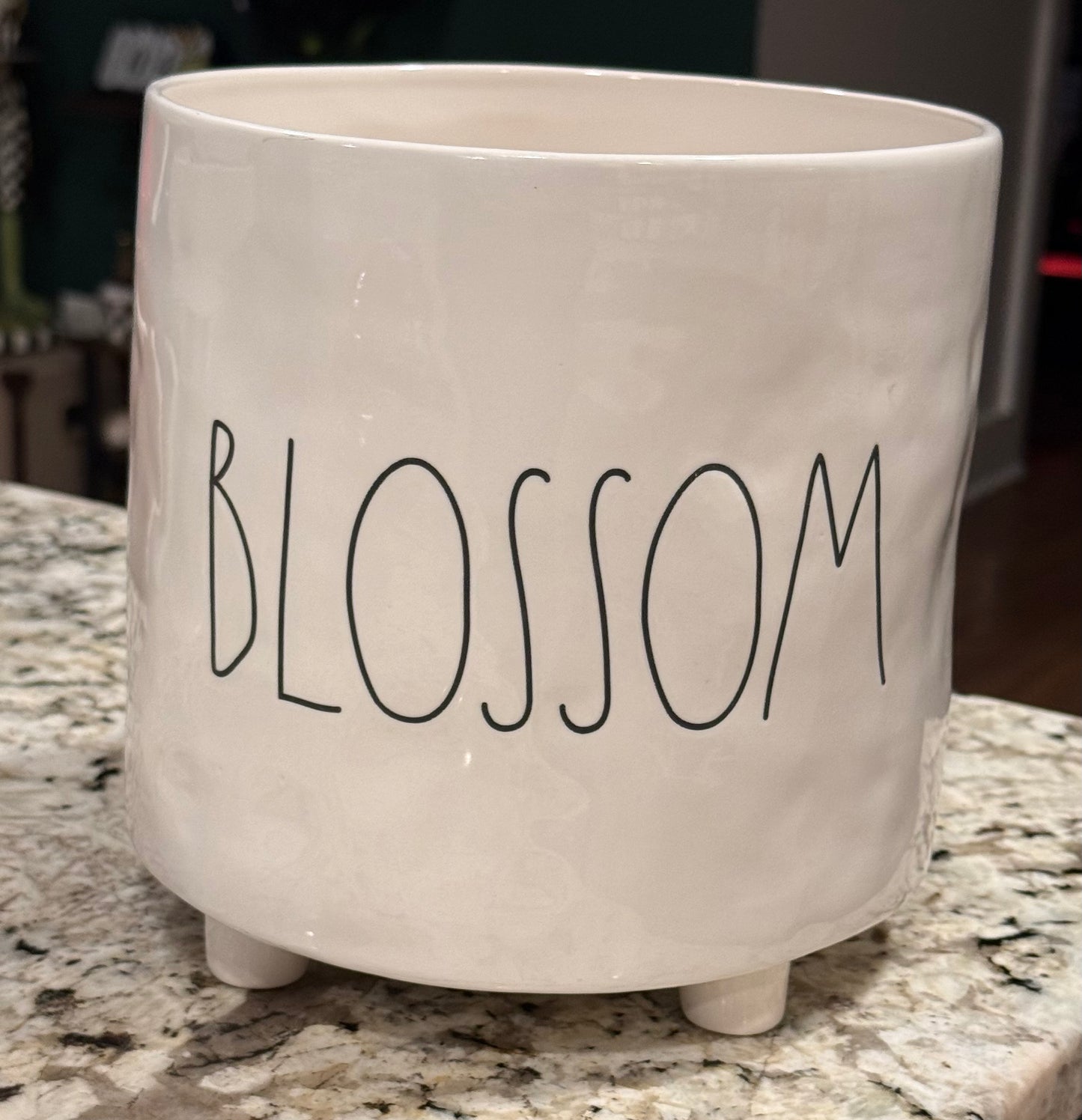 large! Rae Dunn white ceramic BLOSSOM garden planter pot